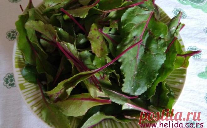 Lišće od cvekle | Heljda