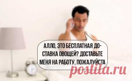 Перлы-приколы. Большая подборка | Infodays