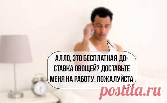 Перлы-приколы. Большая подборка | Infodays