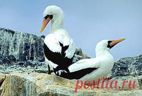 Природа.