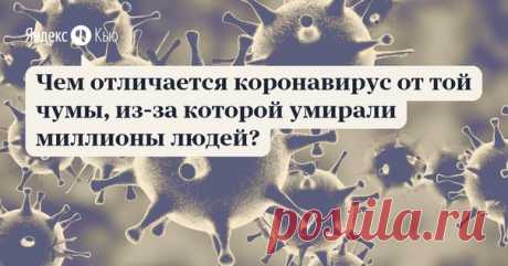 Сравнивать чуму и коронавирус не совсем корректно. Да, обе болезни прокатились по миру, обе возникли в Китае — такое уж совпадение, но больше ничего общего между ними нет. А вот сходств с испанкой куда больше, и многие вирусологи склоняются к тому, что коронавирус может частично повторить сценарий этого гриппа.

https://yandex.ru/q/question/chem_otlichaetsia_korona..