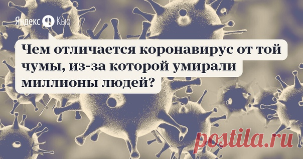 Сравнивать чуму и коронавирус не совсем корректно. Да, обе болезни прокатились по миру, обе возникли в Китае — такое уж совпадение, но больше ничего общего между ними нет. А вот сходств с испанкой куда больше, и многие вирусологи склоняются к тому, что коронавирус может частично повторить сценарий этого гриппа.

https://yandex.ru/q/question/chem_otlichaetsia_korona..