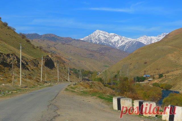 Гафур Шерматов
54 года, Таджикистан, Душанбе