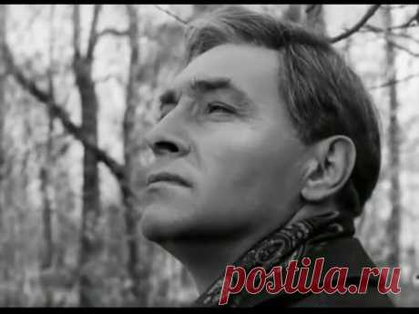 Микаэл Таривердиев. &quot;Дороги&quot;. Интермеццо из к/ф &quot;17 мгновений весны&quot; - YouTube