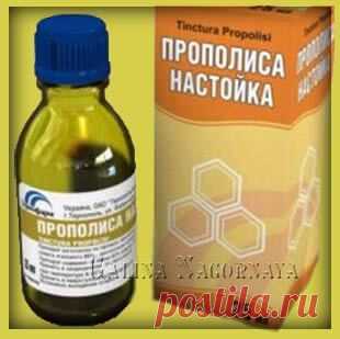 Чем полезен прополис