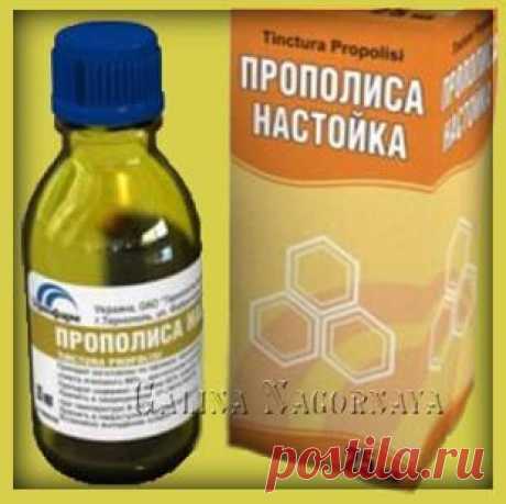 Чем полезен прополис