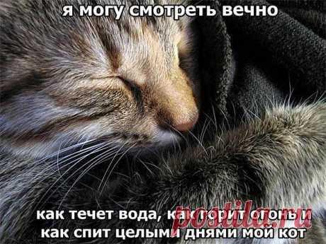 ♥♥Житейская мудрость ♥♥