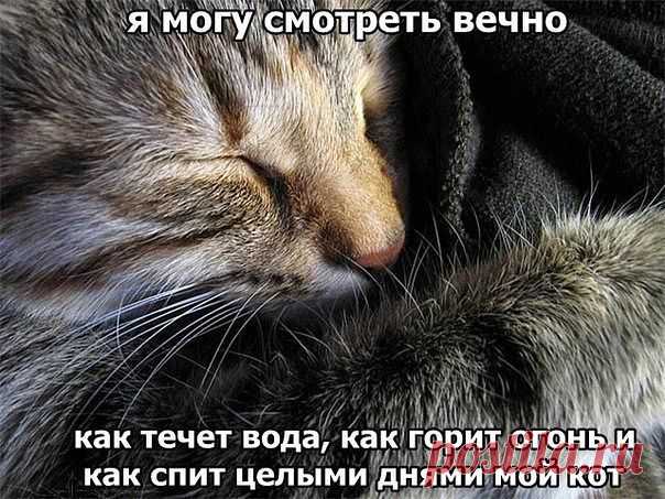 ♥♥Житейская мудрость ♥♥