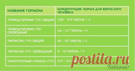 Интересные новости
