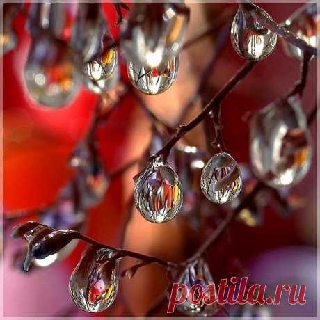 Мой Мир@Mail.Ru