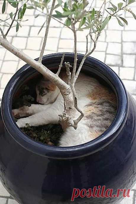 Любимое место......))))))