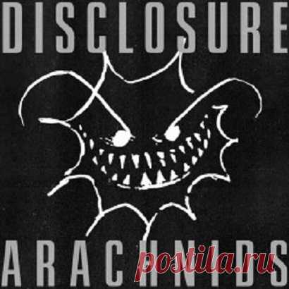 Disclosure - Arachnids free download mp3 music 320kbps