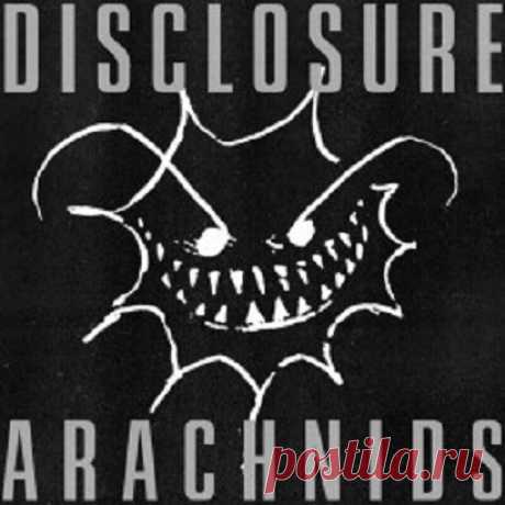 Disclosure - Arachnids free download mp3 music 320kbps