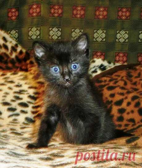 какое выразительное лицо!