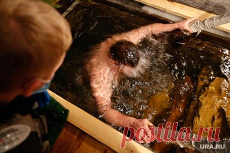 Как правильно ОКУНУТЬСЯ в прорубь на КРЕЩЕНИЕ