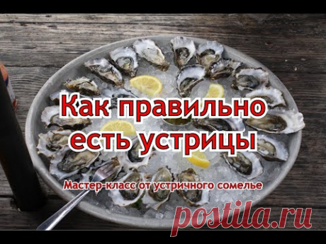 Регина Борисова: как правильно есть устрицы