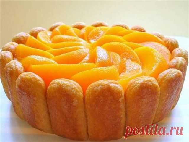 Шарлотка – пирог, который считается классикой русской кухни. 23 рецепта