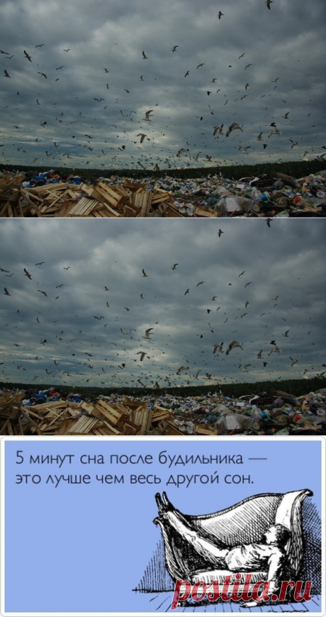 Интересные факты