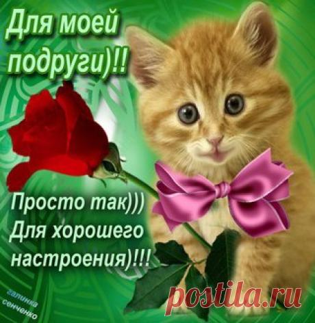 Архив открыток отправленных 17 Апреля 2016 года. Добавили: Леонора Елена Пере, O Лиана O, Владимир Николенко, Марина Никифорова, Владимир Васильев, Татьяна Пономарева, Елена , Ольга Апанасенко, Светлана , Любовь Оськина