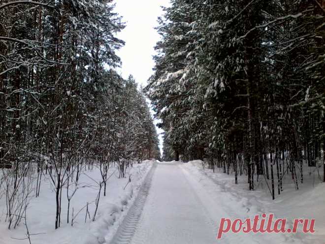 Зима с телефона