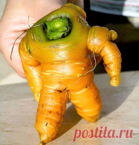 Интересные новости