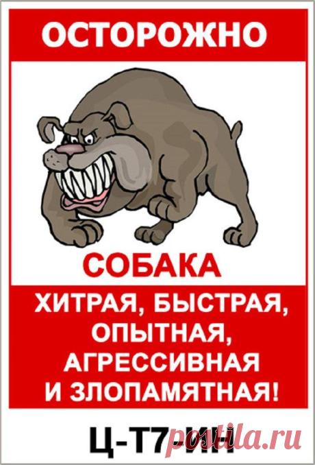 19 убойных табличек, предостерегающих от злых собак