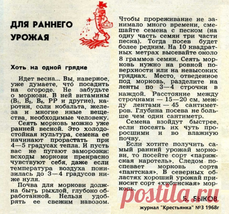 Для раннего урожая моркови
