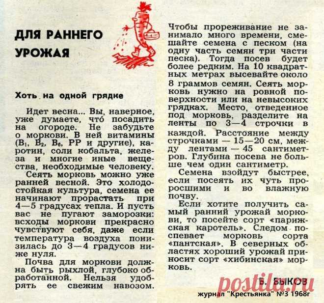 Для раннего урожая моркови