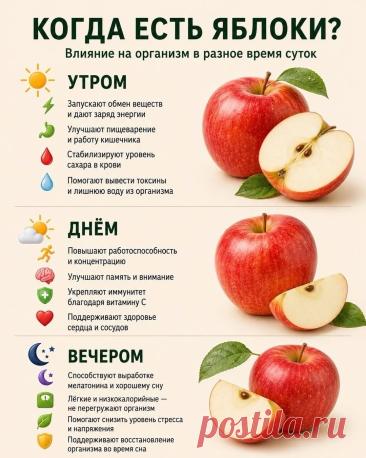 Когда есть яблоки (влияние на организм в разное время суток)