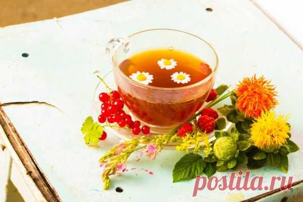 Ромашковый чай