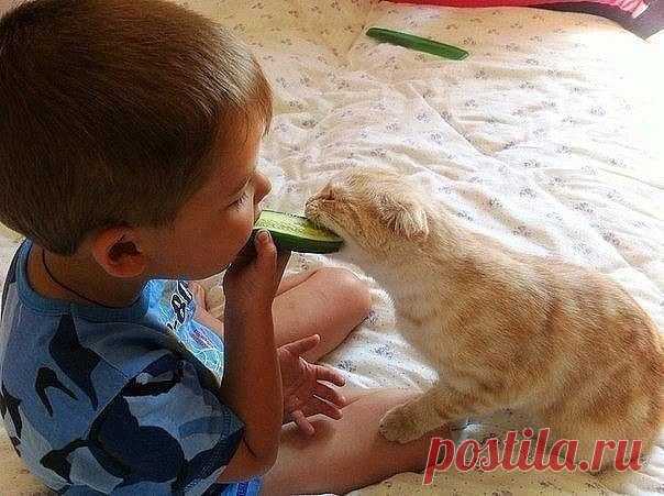 Да зарасти оно всё ромашками...) 




Доброго дня всем!)) 