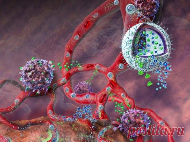 Антирак: 4 известных доктора о лечении и профилактике онкологических заболеваний