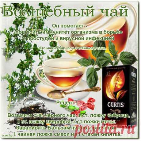 Дневник СитковаЛюдмила