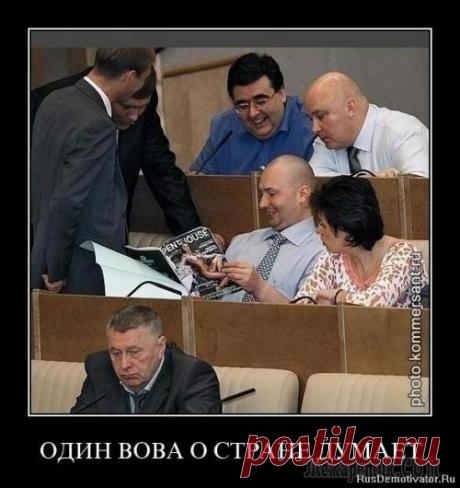 Веселые картинки и гифки)))