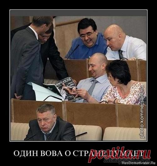 Веселые картинки и гифки)))