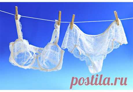 Безотказно работающее средство для восстановления ослепительной белизны бюстгальтера | Андреева Мария | Яндекс Дзен