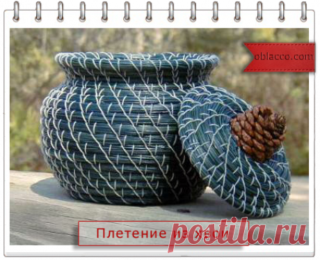 Как плести из сосновых иголок, подробный мастер класс с фотографиями и видео в двух разных техниках | oblacco Давно хотела рассмотреть эти плетеные шедевры так сказать изнутри, достаточно подробное разъяснение со схемами. 1) Залить хвою кипятком, через 10 минут слить и выложить на бумажные полотенца, просушить.В Снять головки хвои. В В начале работы иглы оплетаются рафией. Затем использована грубая нить, автор этого семинара рекомендует гобеленовую.В В Готовые пучки сверну...