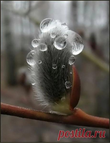 Фото – Google+