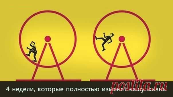4 недели, которые полностью изменят вашу жизнь