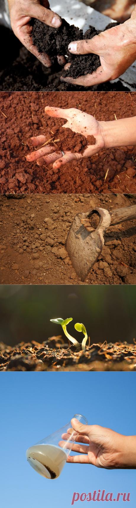 Как узнать тип почвы, и зачем это нужно | Огород без хлопот