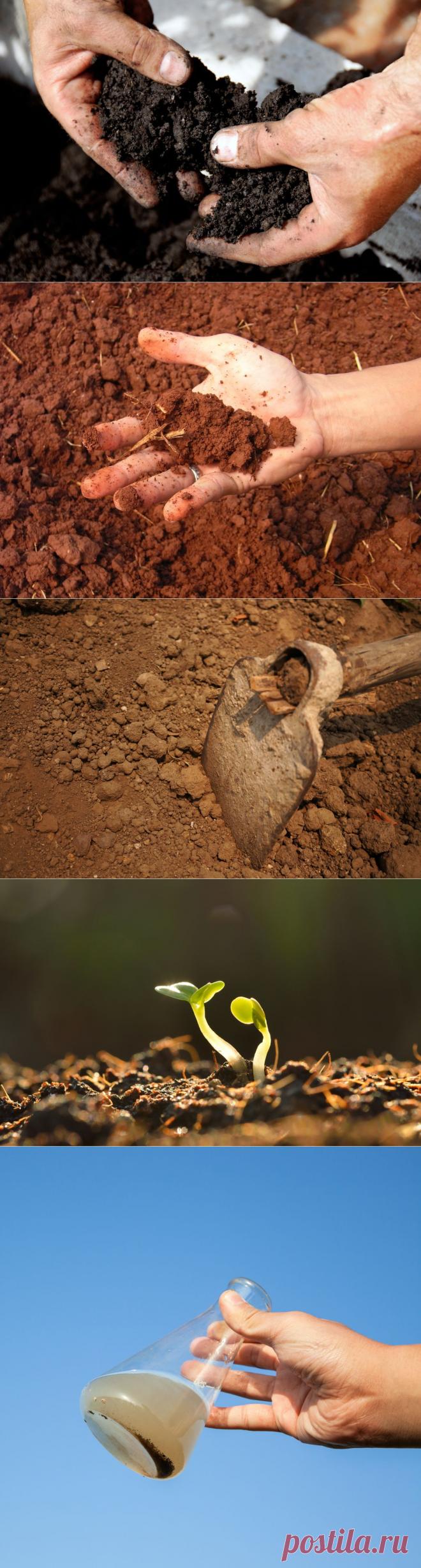 Как узнать тип почвы, и зачем это нужно | Огород без хлопот