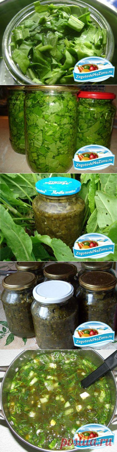 Консервированный щавель. Лучшие рецепты