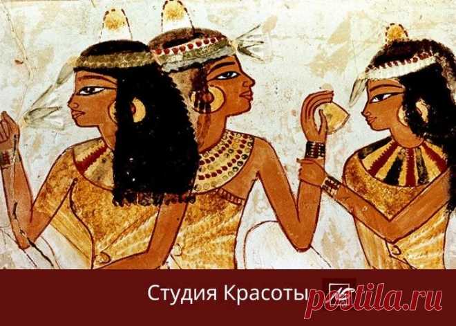 Как красили волосы в древнем Египте
В древности, многие столетия у Египтянок были в моде иссиня-черный или ярко-красный цвет волос. Для этого женщины Древнего Египта использовали хорошо знакомую нам хну. Да, да хна появилась очень давно и помогала древним красавицам изменять цвет волос. А чтобы разнообразить палитру цветов, египетские красавицы добавляли в порошок хны различные экзотические ингредиенты, при упоминании которых современные […]
Читай дальше на сайте. Жми подробнее ➡