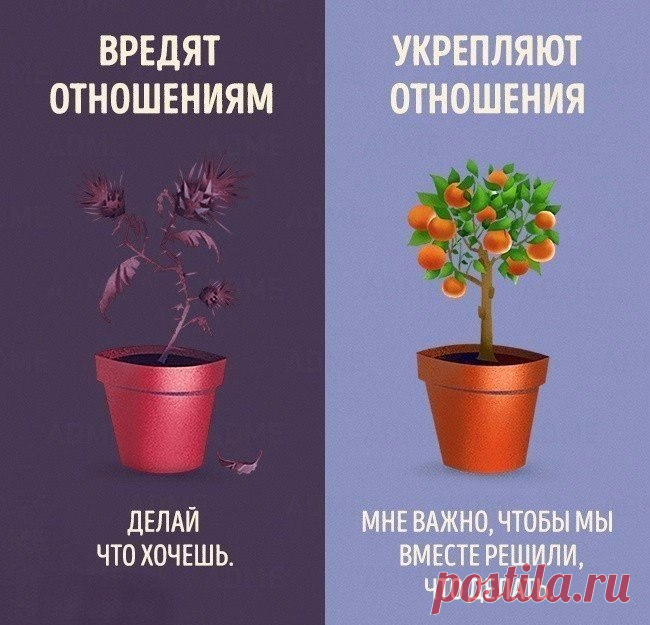 Слова убивающие отношения — Всегда в форме!