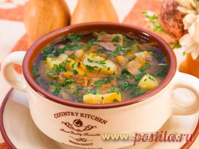 Щи с кислой капустой