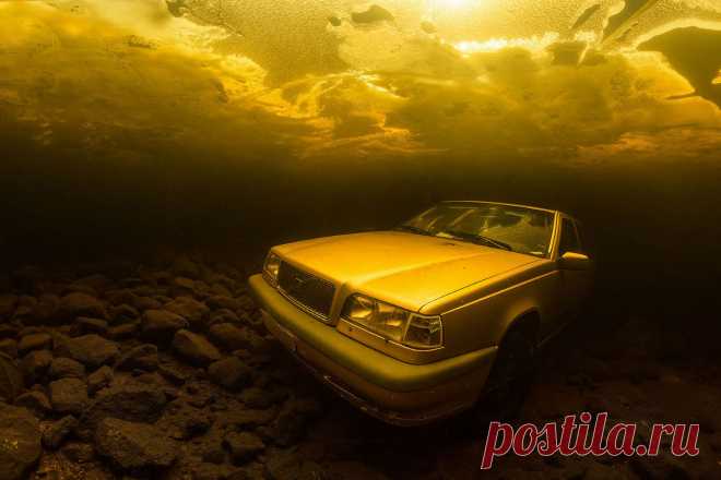 Удивительный водный мир — Мания.инфо