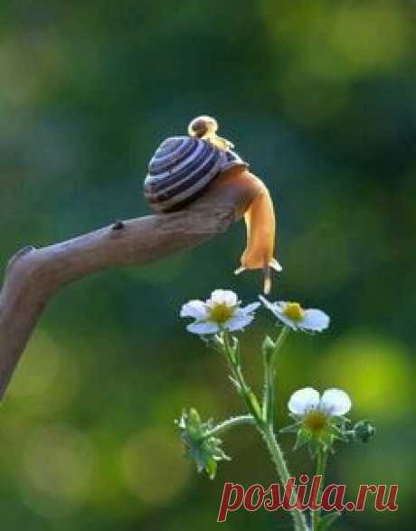 хх