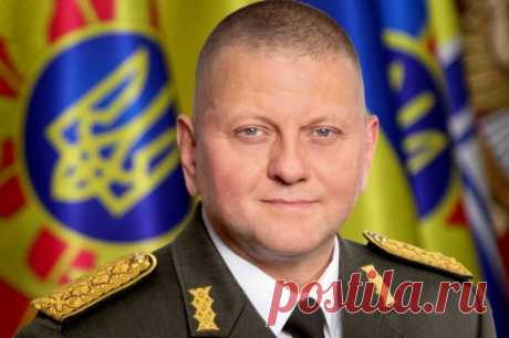 В Раде призвали Залужного уйти в отставку из-за отсутствия идей на 2024 год. Депутат Верховной рады Марьяна Безуглая считает, что руководство ВСУ должно оставить свои посты.