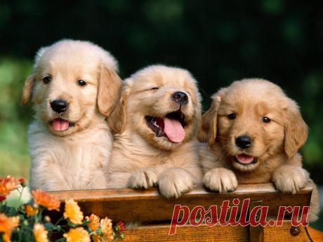 Редактировать описание