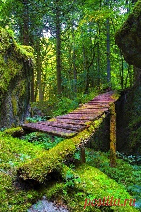 Мой Мир@Mail.Ru